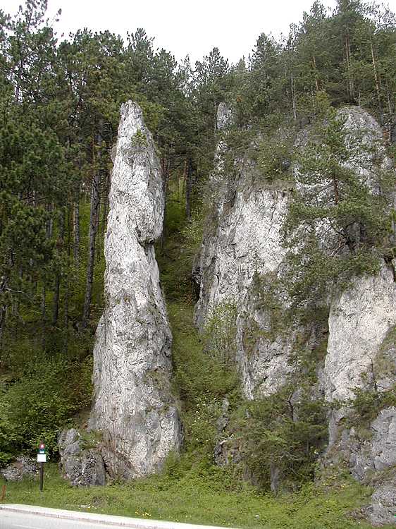 Poluvsianská skalná ihla